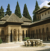 Courtyard of the Lions, Alhambra. Granada. Spain