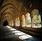 Cloister of Tarragona Cathedral. Catalonia. Spain