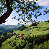 Caseríos (typical country farms). Marquina. Vizcaya. Basque Country. Spain