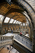 Central Hall, Natural History Museum, London. England, UK