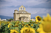 Santa María de Eunate, Romanesque church. Road to Santiago. Navarre. Spain