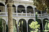 Museo de la Santa Cruz. Toledo. Castilla-La Mancha. Spain