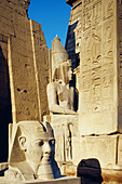 Statue of Ramses II. Luxor temple. Egypt