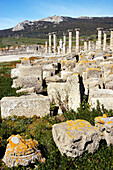 Ruins of forum, old roman city of Baelo Claudia (II BC). Tarifa. Cadiz province. Spain