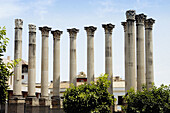 Columns of Roman temple. Córdoba. Spain