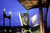 Guggenheim Museum. Bilbao. Biscay. Spain