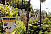 Alcázar gardens. Sevilla. Spain