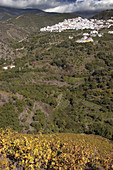 Villanueva de Algaida in the Axarquía mountains. Málaga province, Spain