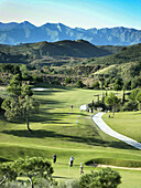 Golf course. Marbella. Málaga province, Spain