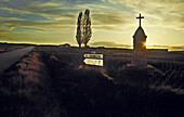 Road to Santiago, Burgos province. Spain