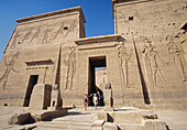 Temple. Egypt