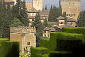 Alhambra and Alcazaba complex. Granada. Andalusia, Spain