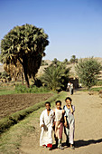 Egypt. Nile valley at Gezirat Bachir