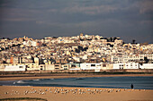 The Medina from the beach. Tanger. Morocco.