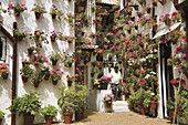 Patio .Cordoba. Andalusia, Spain.