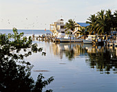 Conch Key. Florida. USA