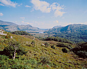 Killarney National Park