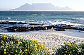 Table mountain. Cape Town city. South Africa