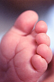  Babies, Baby, Barefeet, Barefoot, Body, Body part, Body parts, Child, Children, Close up, Close-up, Closeup, Color, Colour, Contemporary, Delicate, Detail, Details, Feet, Foot, Fragile, Fragility, Human, Indoor, Indoors, Infant, Infants, Interior, Little