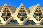 City of Arts and Sciences by S. Calatrava. Valencia, Spain