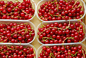 Redcurrants. Mercado de la Boquería. Barcelona. Spain.