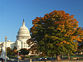  Amerika, Architektur, Außen, Baum, Bäume, Dom, Farbe, Gebäude, Großtadtlandschaft, Großtadtlandschaften, Horizontal, Kapitol, Klassisch, Macht, Mid-Atlantic USA, Nordamerika, Nordosten USA, Northeast USA, Plätze der Welt, Politik, Reisen, Sehenswürdigkei