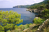 Costa Nord (North coast), between Deià & Sóller. Mallorca. Balearic Islands. Spain