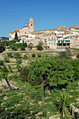 Tivissa. Ribera d Ebre, Tarragona province. Catalonia, Spain