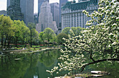 Central Park. New York City. USA