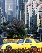 Taxi at Park Avenue. Manhattan, New York City. USA