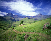 Scenic amphitheatre, Royal natal National Park, Drakensburg, South africa.