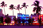 Palm trees & beach, ocean drive, South beach, Miami beach, Florida, USA.