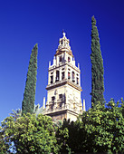 Torre del alminar, Mezquita, Cordoba, Andalucia, Spain.