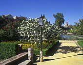 Garden of the christian kings, Cordoba, Andalucia, Spain.