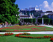 Mirabellgarten gardens, Salzburg, Austria.