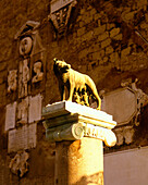 Romulus & remus & she wolf column, Capitoline hill, Rome, Italy.