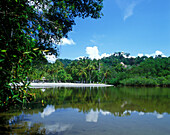 Scenic laguna, Playa espadilla, Manuel antonio National Park, Costa Rica.