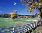 Scenic fall foliage, Plum creek, Indiana county, Pennsylvania, USA