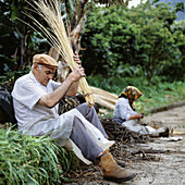 Man and woman peeling willow sticks. Madeira Island, Portugal