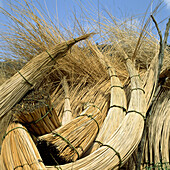 Stacked bundles of willow sticks for drying. Madeira Island, Portugal
