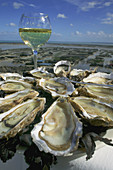 Oyster platter with a glass of white wine and farm Cancale harbour. BritTany. France.
