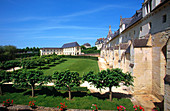 Gardens of Fontevraud abbey. Val-de-Loire. France