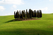 Natural scenic. Siena province, Tuscany. Italy