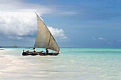 Kiwengwa beach. Zanzibar Island. Tanzania.