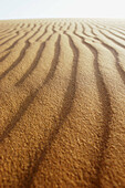 Sand dunes. Morocco