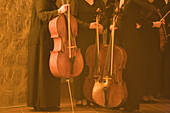 Dubrovnik synphonic orchestra