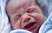  0-6 Monate, 1-6 Monate, Ausdruckskraft, Ausdrucksvoll, Baby, Babys, Eine Person, Eins, Farbe, Gefühl, Gefühle, Geschlossen, Geschlossene Augen, Gesicht, Gesichter, Gesichtsausdruck, Gesichtsausdrücke, Grimasse, Grimassen, Horizontal, Innen, Mensch, Mensc