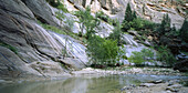 The Narrows, Zion National Park. Utah, USA