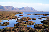 Salt marshes in the Natural Reserve of Cabo de Gata-Níjar. Almería province. Andalusia. Spain