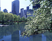 Pond, Central Park south skyline, Central Park, Manhattan, New York, USA